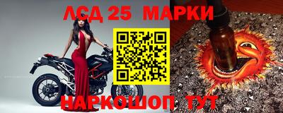мяу мяу мука Кулебаки