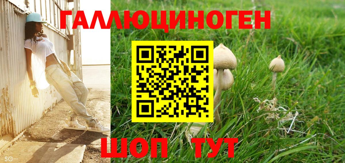 Галлюциногенные грибы Psilocybine cubensis  Вход с VPN  Знаменск 